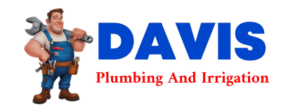 Trusted plumber in CONCEPTION